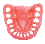 310 Lower Gum EDENT 30 Semi-Transparent Softer Red